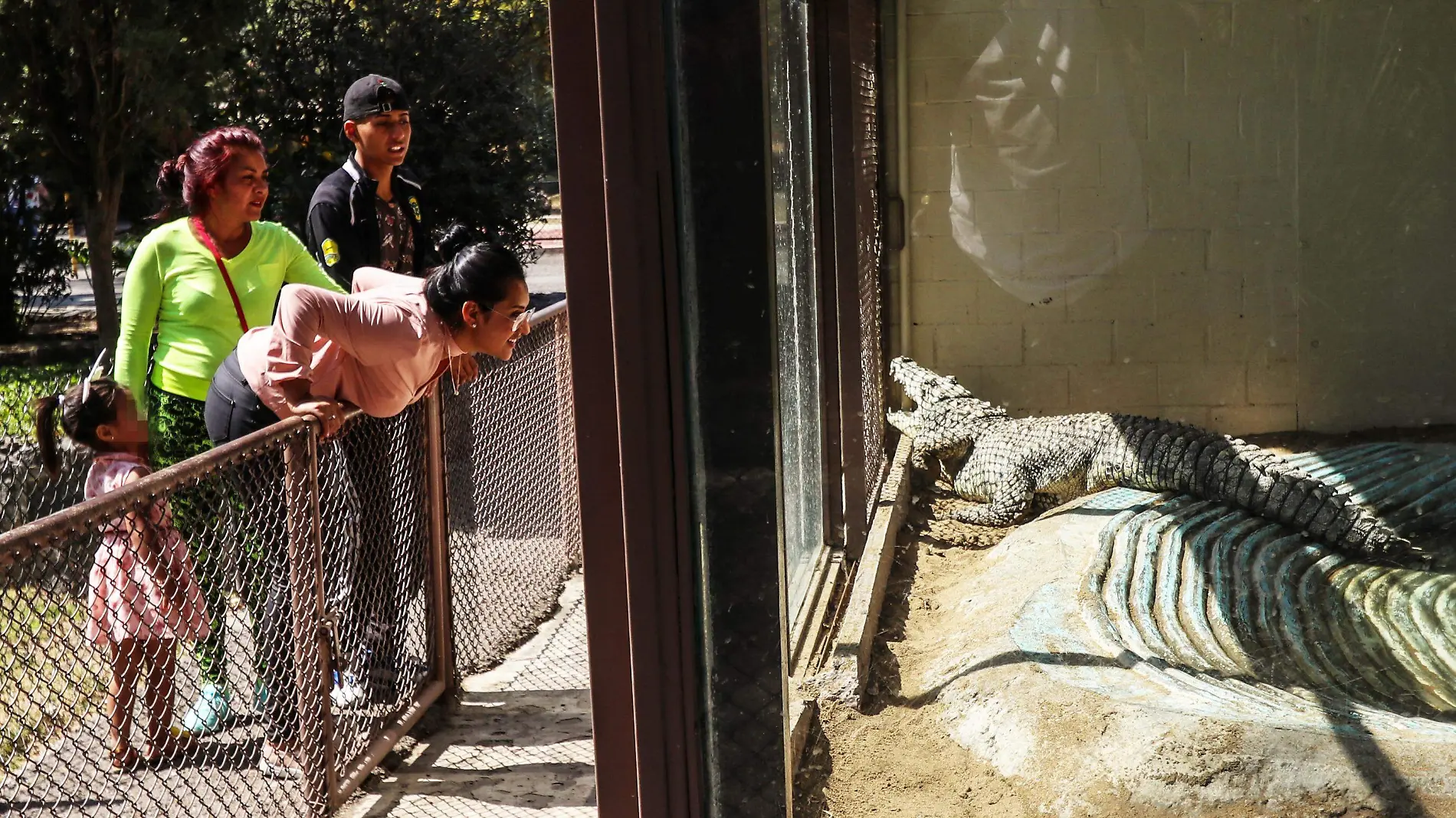 ZOOLOGICOS-REAPERTURA-roberto hernandez (1)